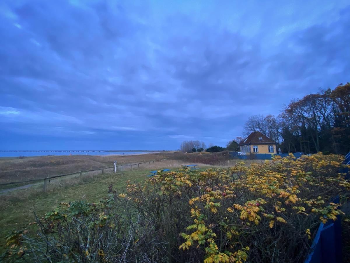 Skaerven Beachfront Apartments And Cottage Nyborg Bagian luar foto