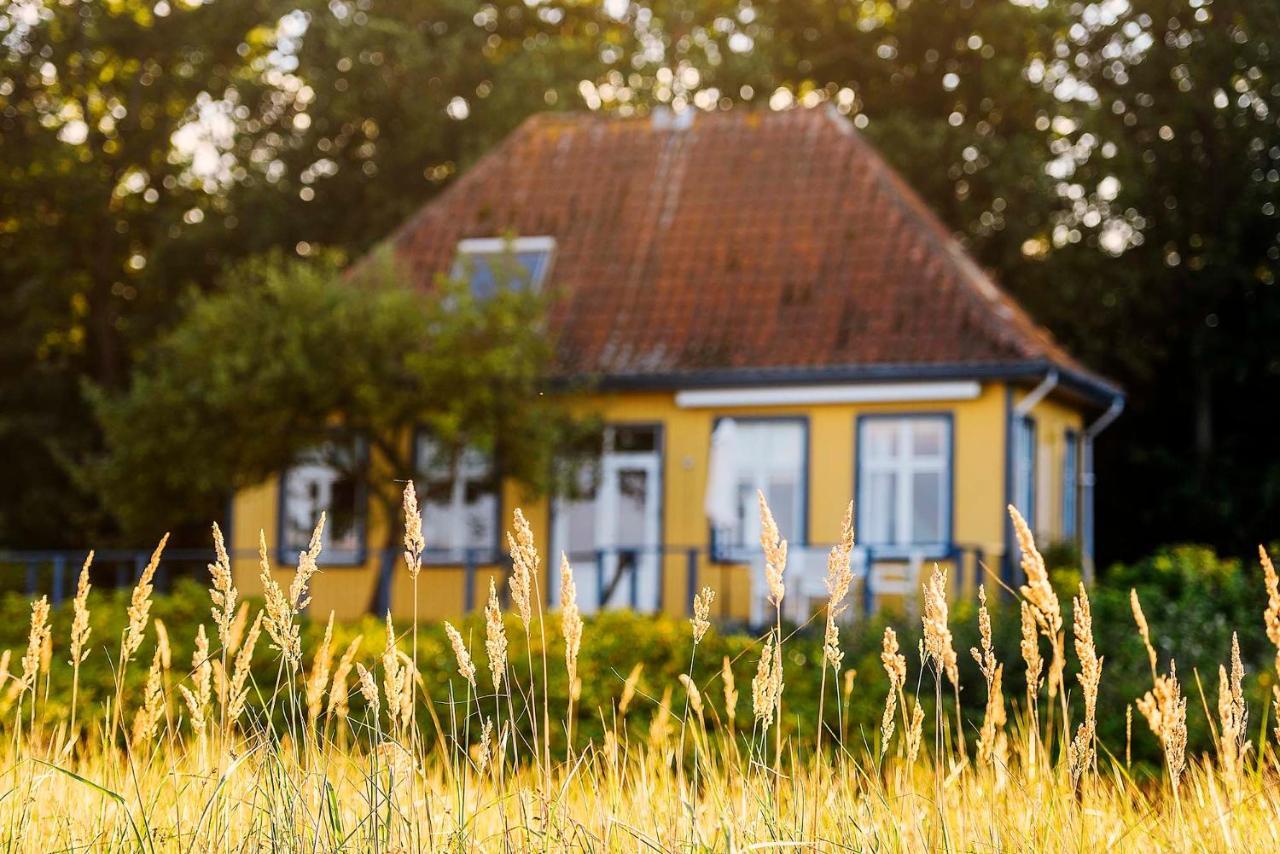 Skaerven Beachfront Apartments And Cottage Nyborg Bagian luar foto